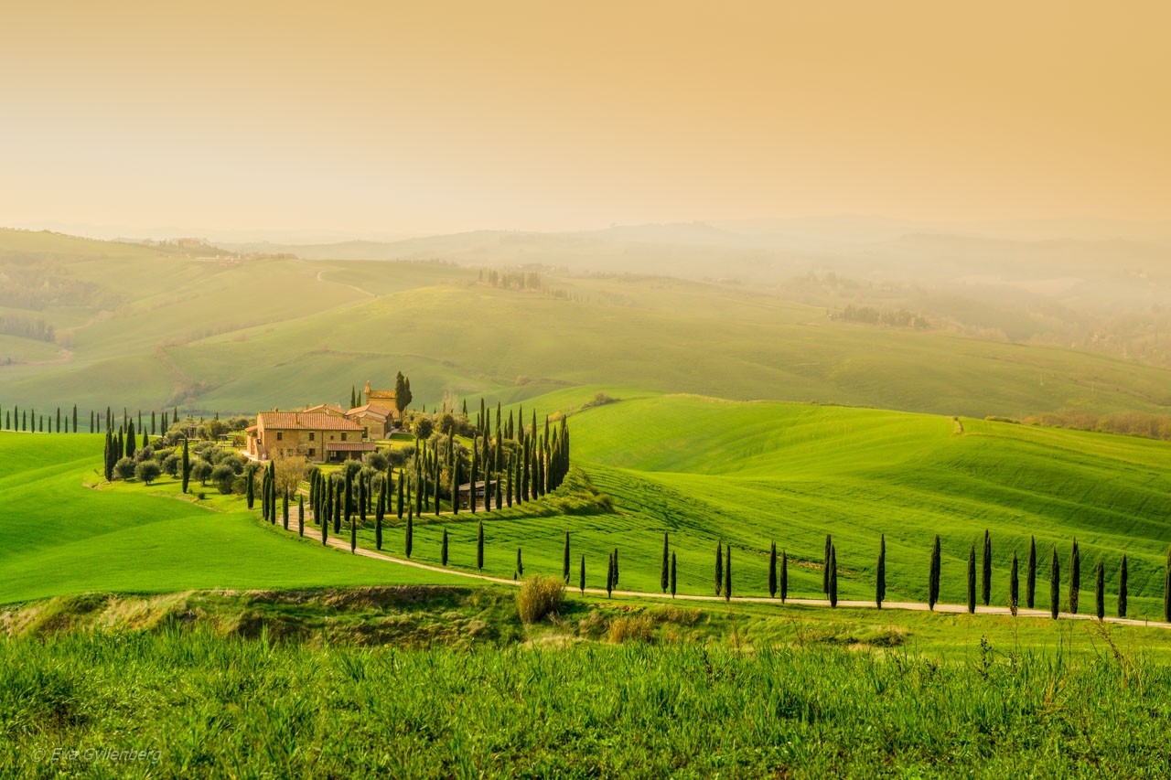 Barolo Boys Vinresor