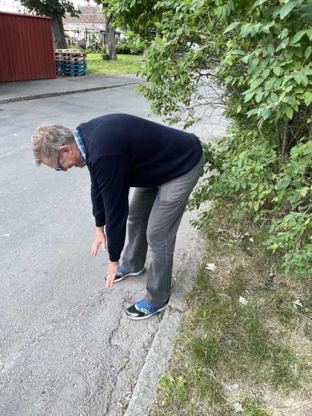 Sommaröl 55