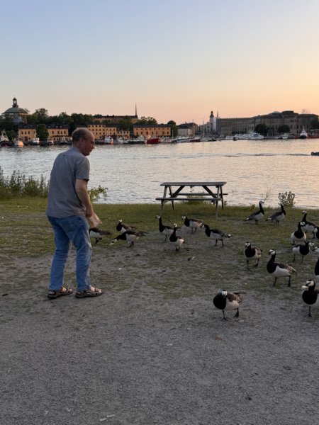 Sommaröl 22