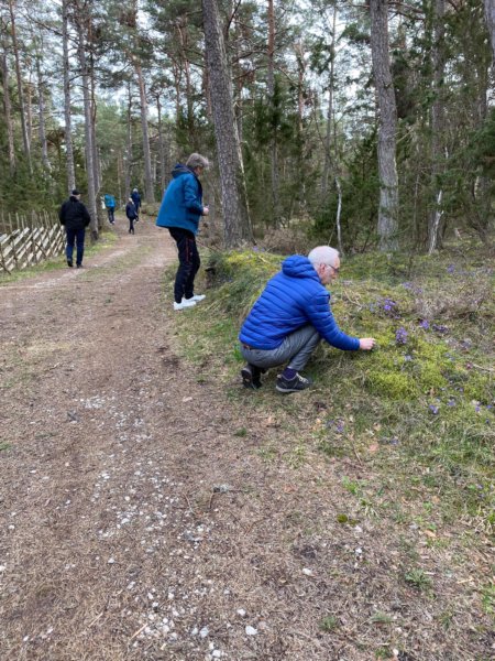 Benkes 60-års Tour 178