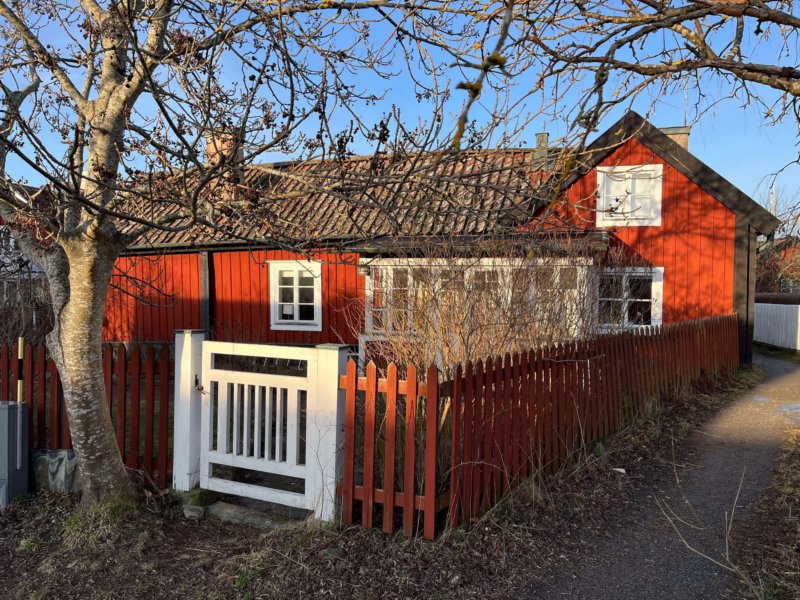 Håkan's Bouillabaisse 99
