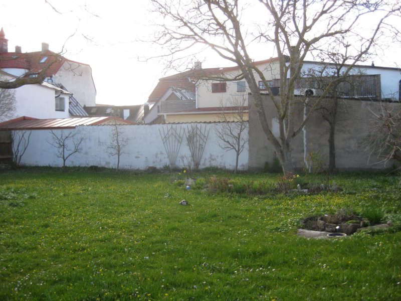 Visby 7