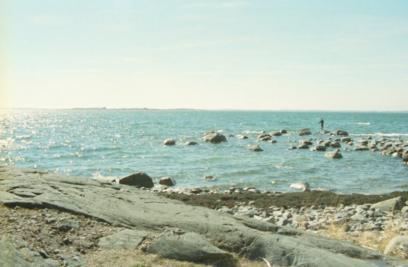 Sandhamn 8